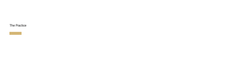 The Practice logo